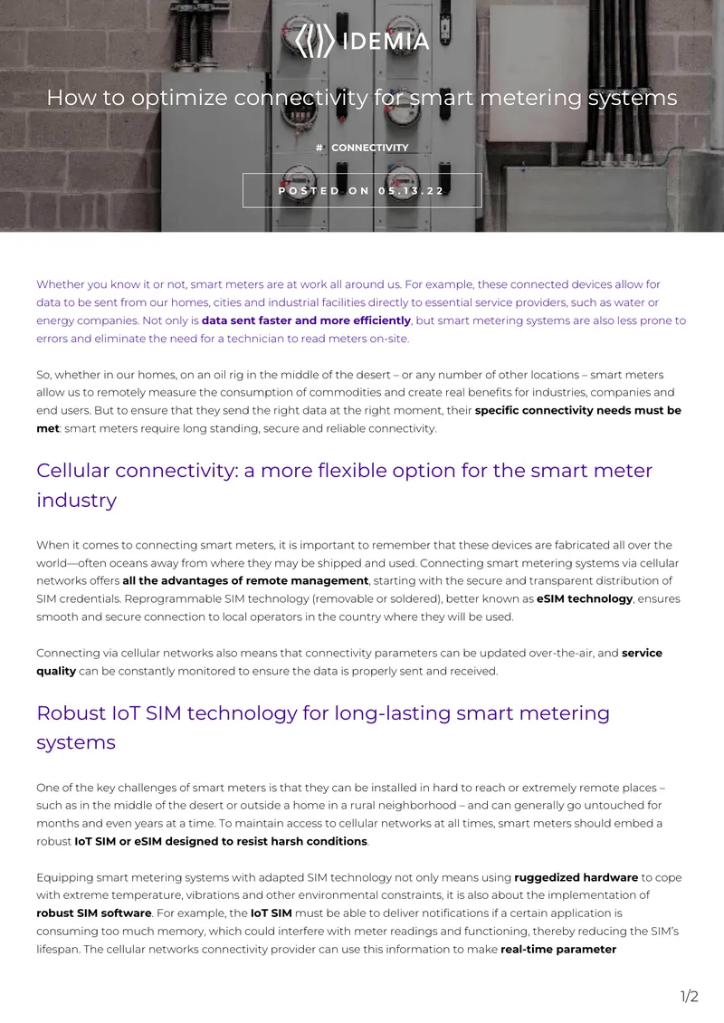 Smart Meter Connectivity and Technology Overview