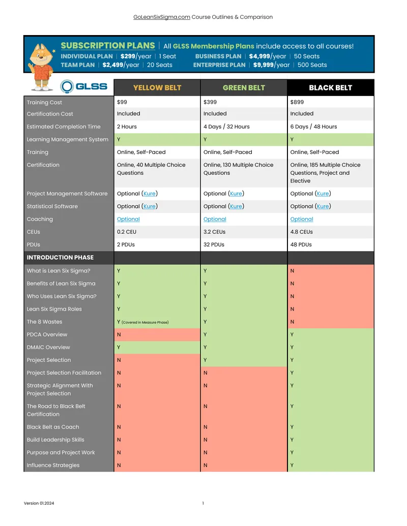 Lean Six Sigma Course Outlines and Comparison