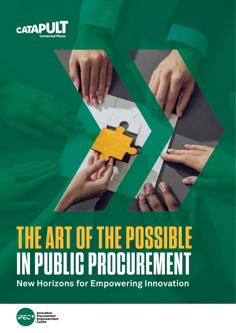 The Art of the Possible in Public Procurement