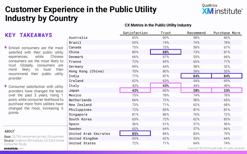 Customer Experience in the Public Utility Industry
