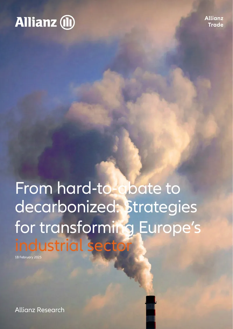 Decarbonization Strategies for Europe's Industrial Sector