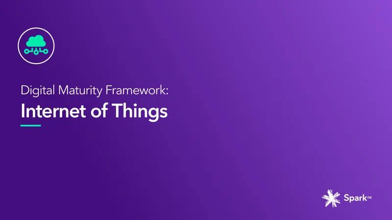 IoT Maturity Framework for New Zealand Businesses