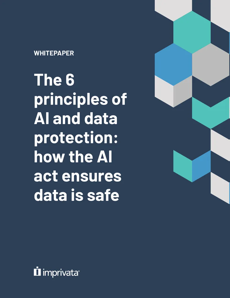 Six Principles of AI and Data Protection