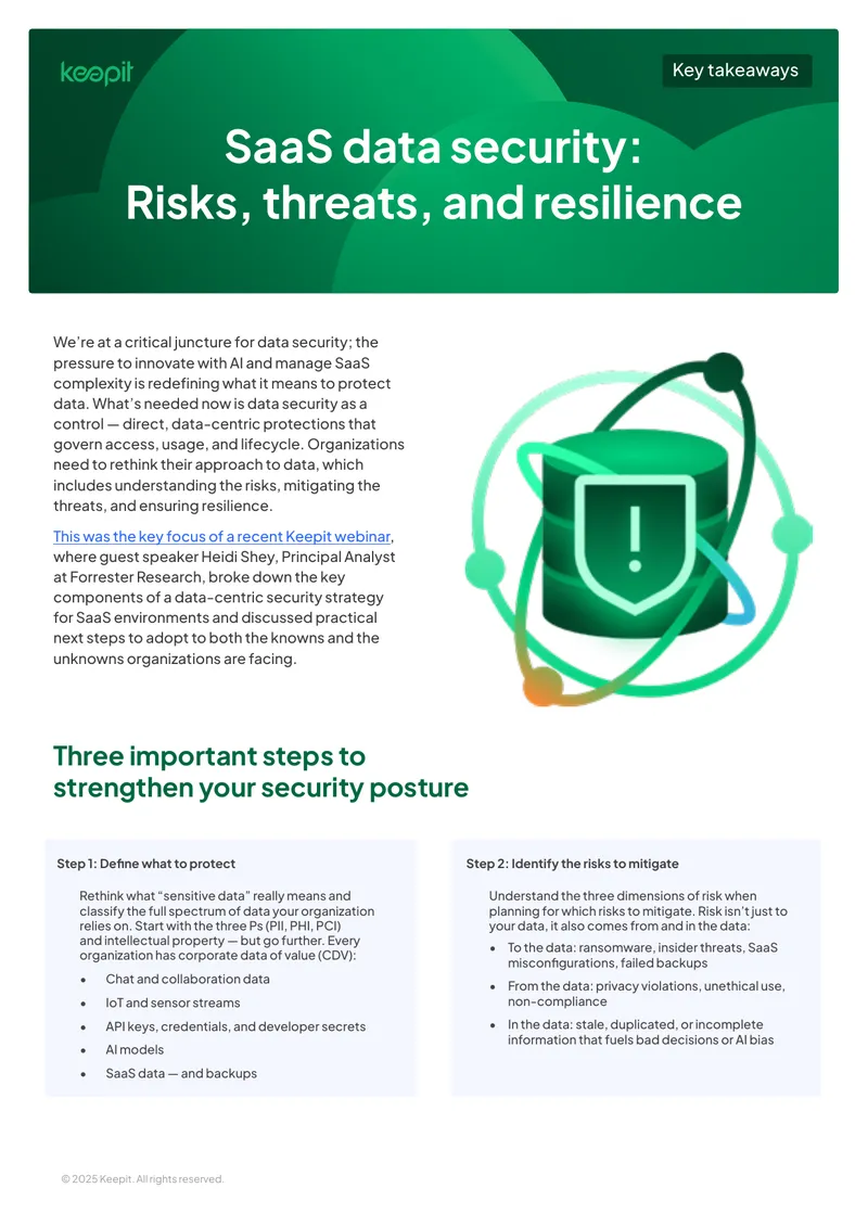 SaaS Data Security Risks and Resilience Strategies