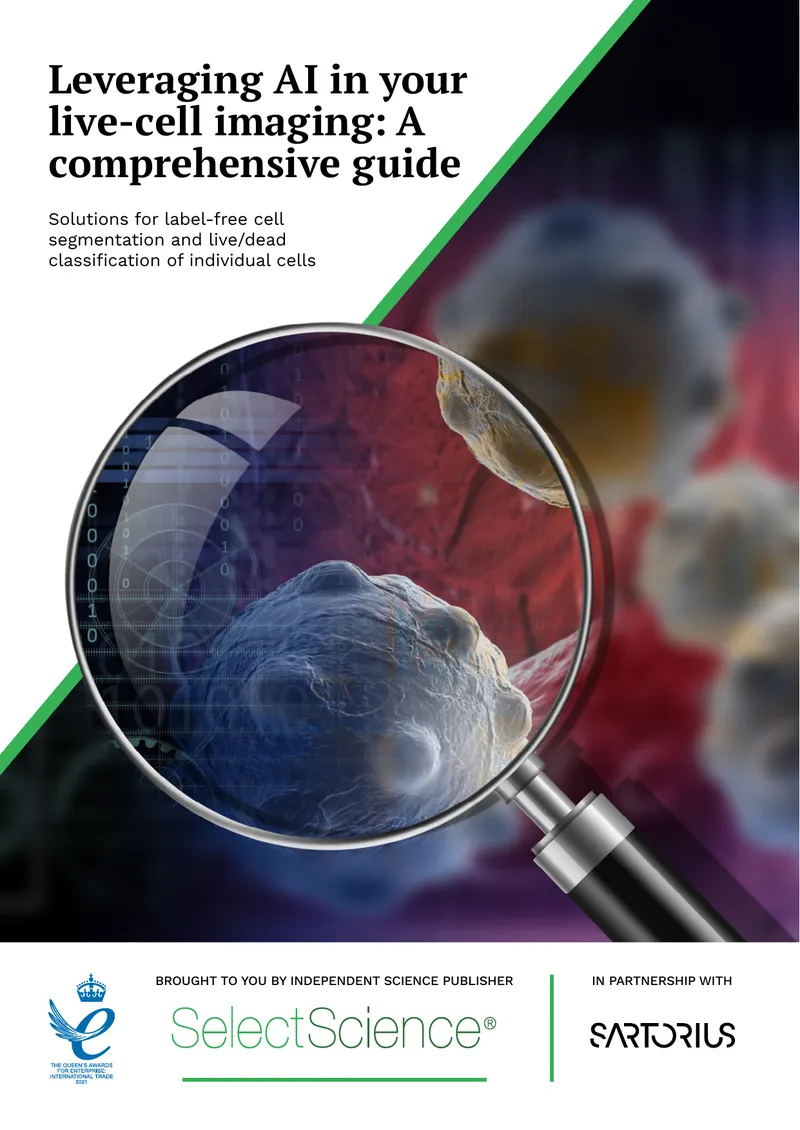 Leveraging AI in Live-Cell Imaging Techniques