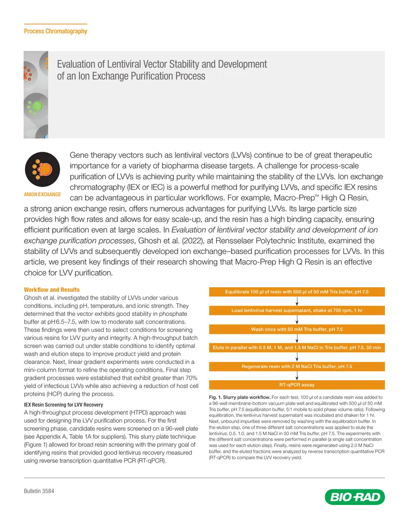 Evaluation of Lentiviral Vector Stability and Purification Process