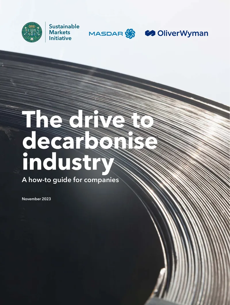 Decarbonisation Strategies for Hard-to-Abate Industries