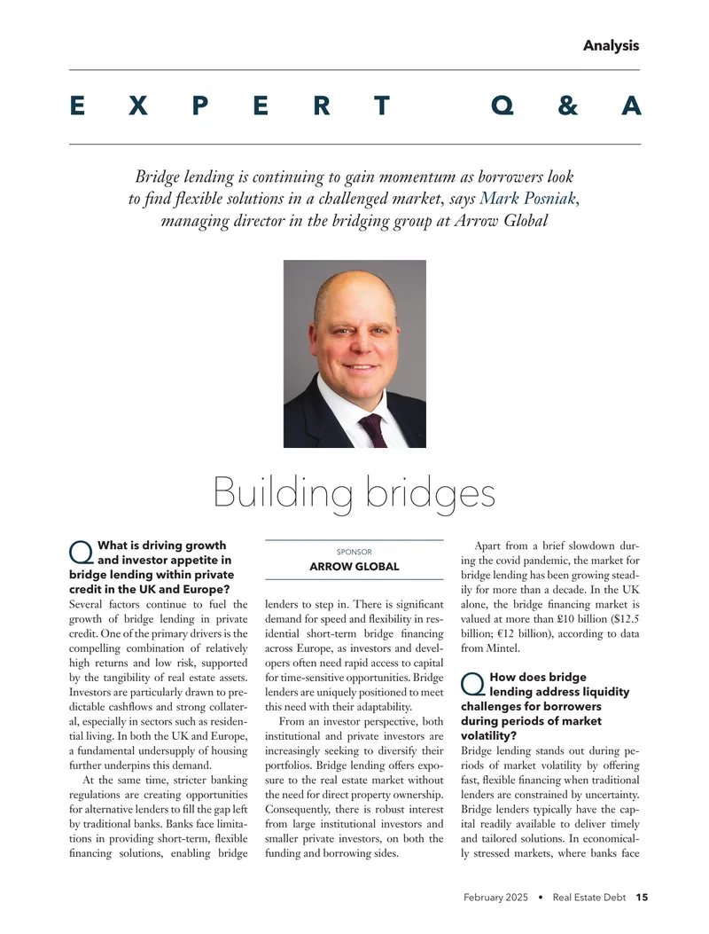 Growth and Dynamics of Bridge Lending in Europe