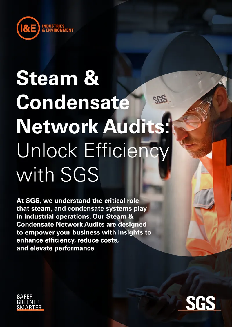 Steam and Condensate Network Audit Guide