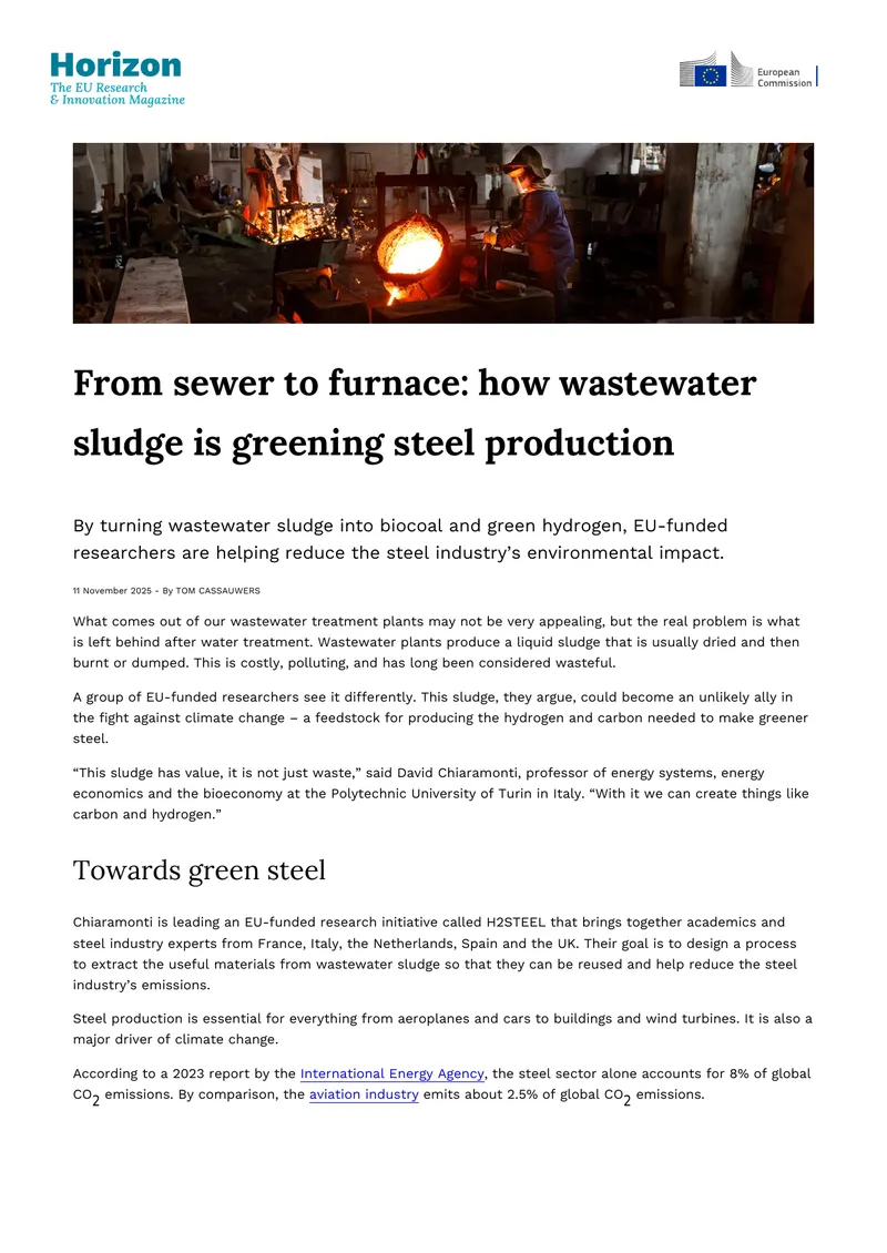 Wastewater Sludge Utilization in Steel Production