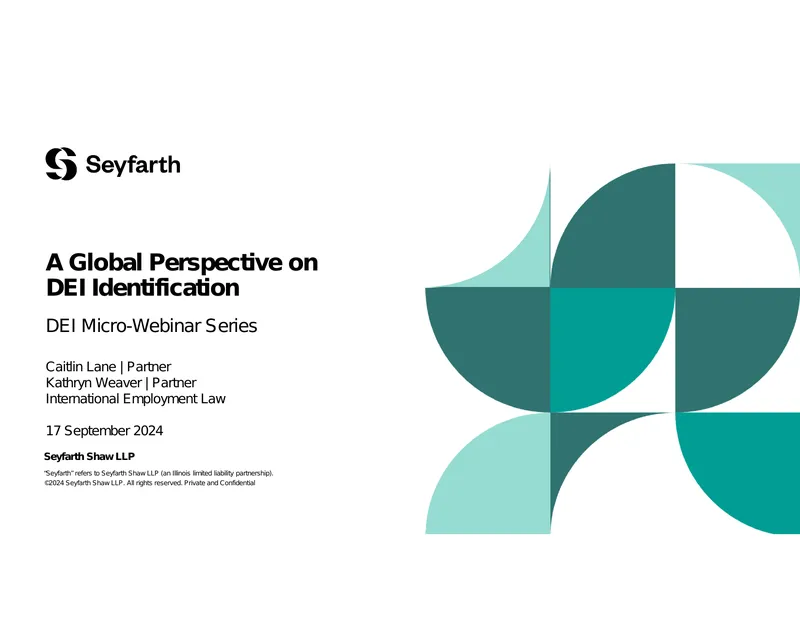 Global Approaches to DEI Monitoring and Data Collection