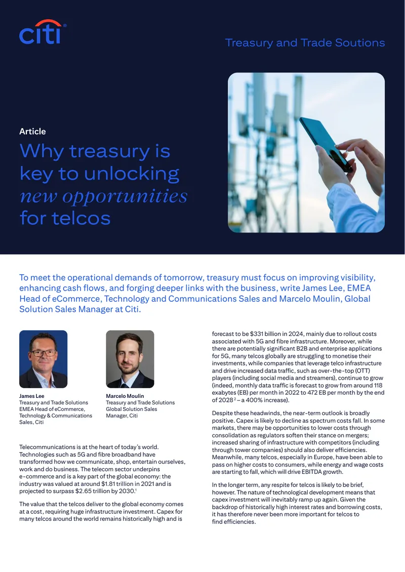 Treasury Strategies for Telecom Sector Efficiency