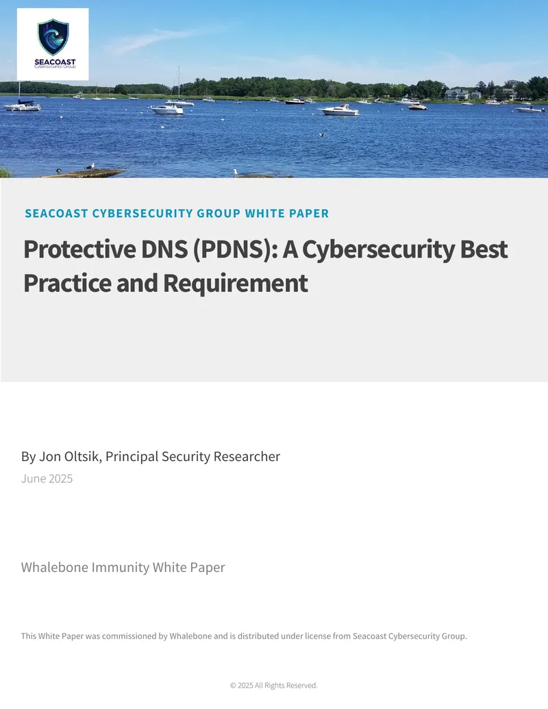 Protective DNS as a Cybersecurity Best Practice