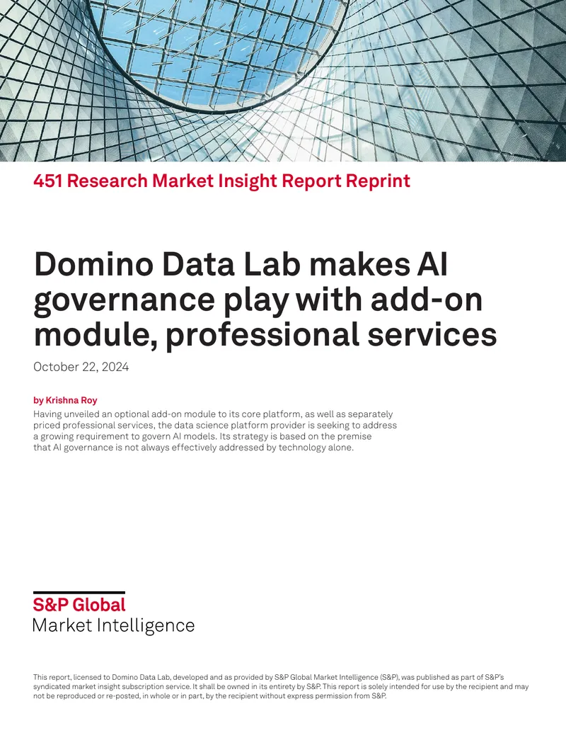 AI Governance Strategy and Professional Services Overview