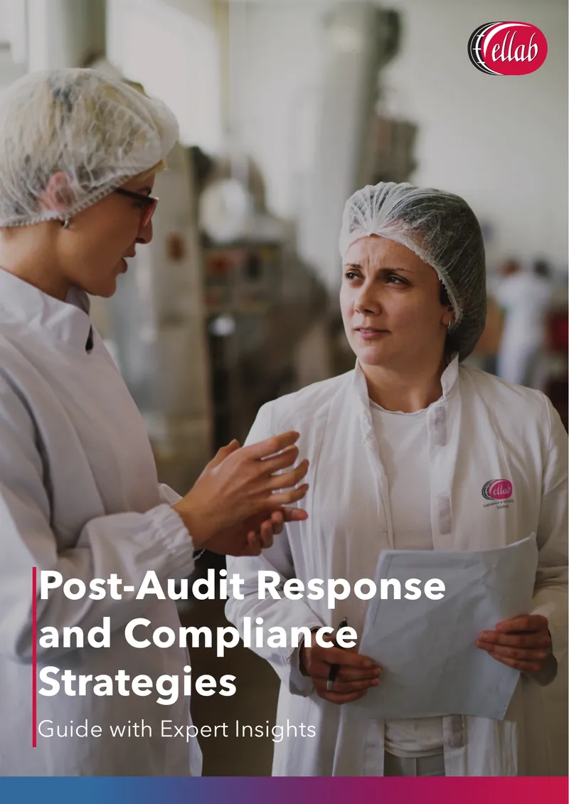 Post-Audit Response and Compliance Strategies Guide