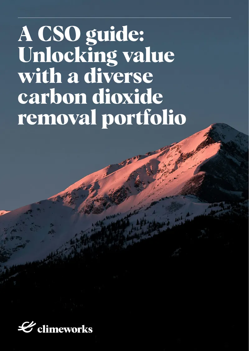 Carbon Dioxide Removal Portfolio Strategy Guide