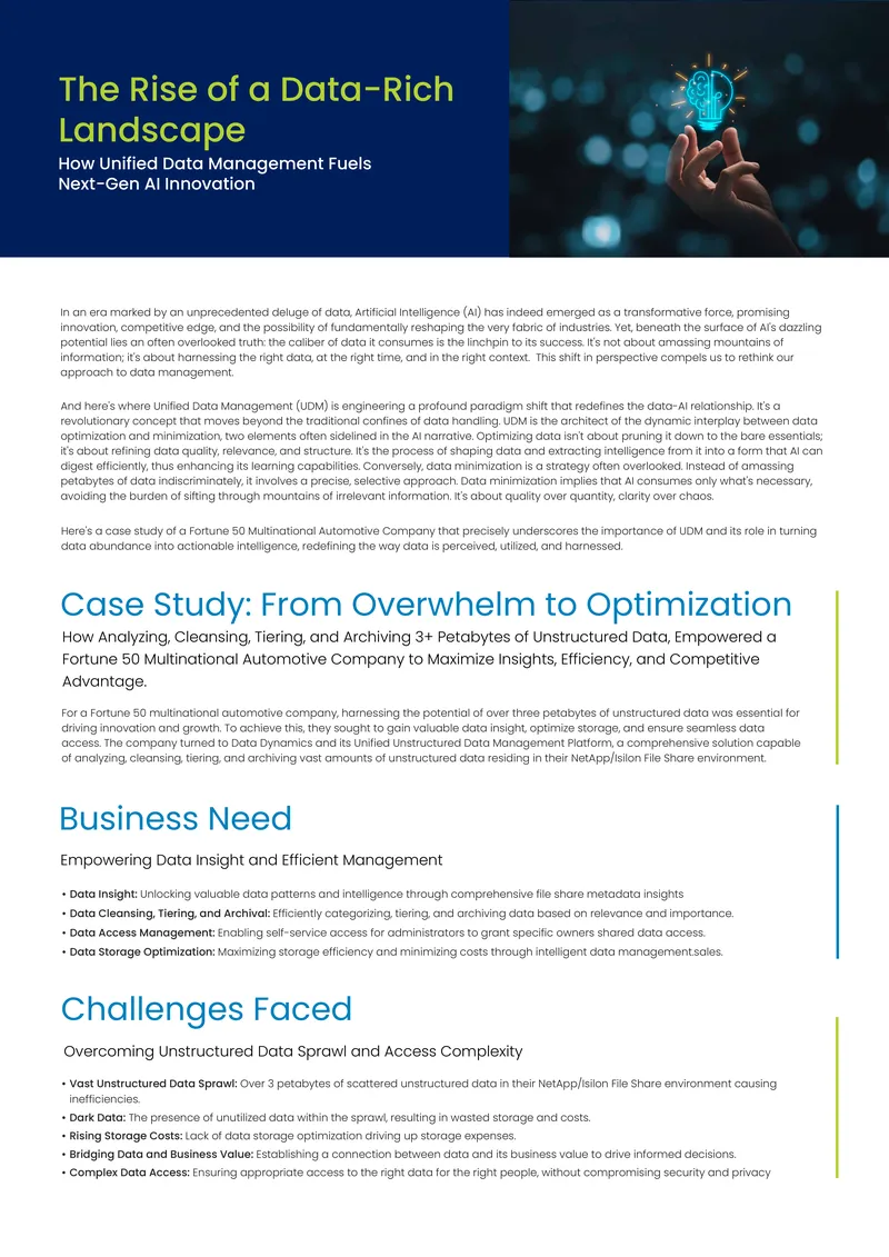 Unified Data Management for Enhanced AI Efficiency
