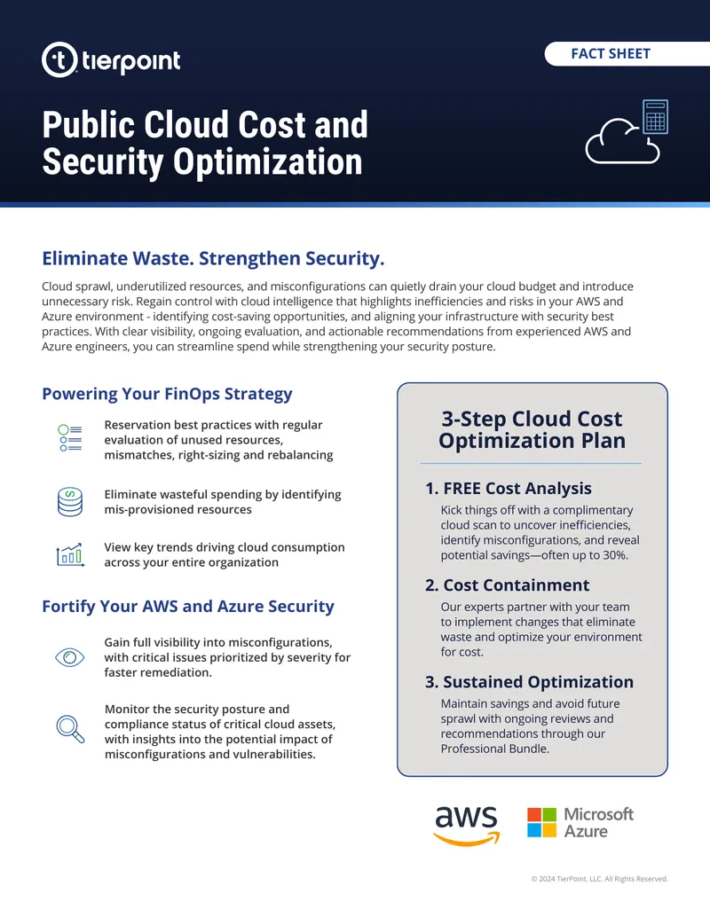 Public Cloud Cost and Security Optimization