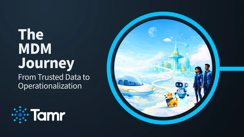 Master Data Management Journey Framework