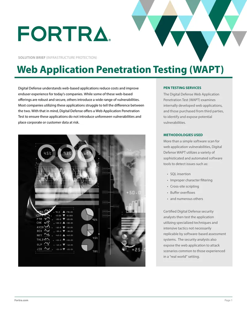 Web Application Penetration Testing Service Overview