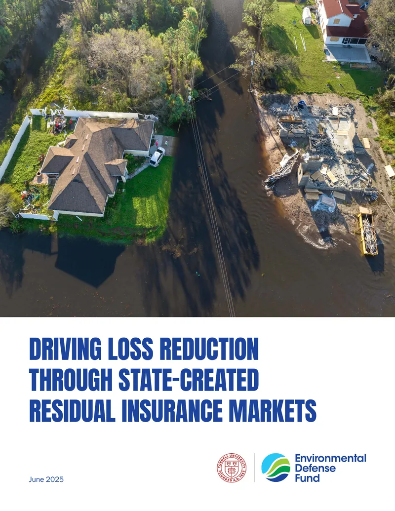 Driving Loss Reduction Through State-Created Residual Insurance Markets
