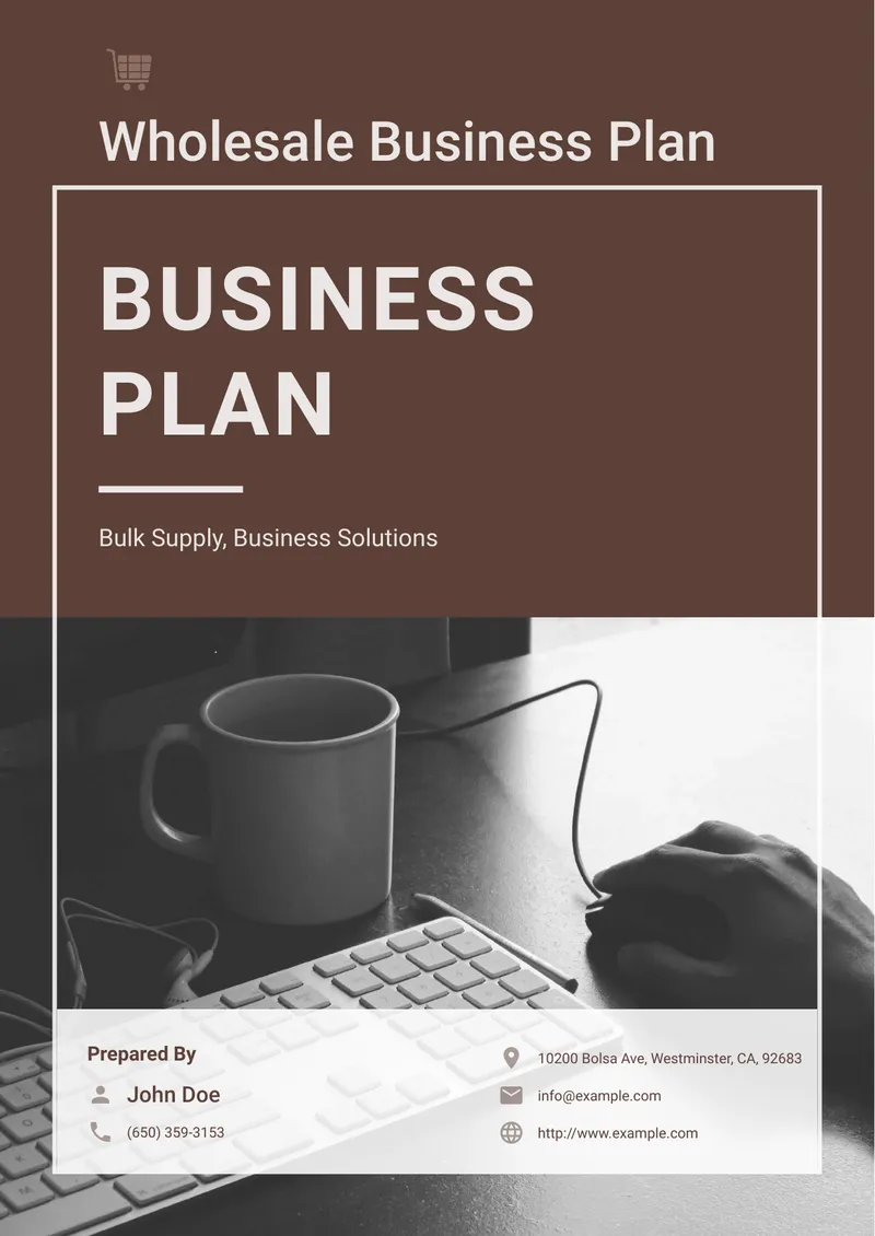 Wholesale Business Plan Overview and Structure