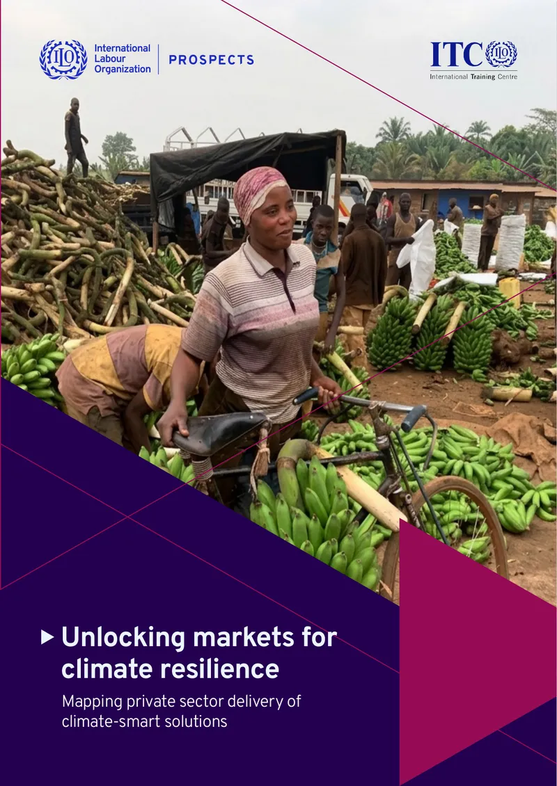 Mapping Private Sector Delivery of Climate-Smart Solutions