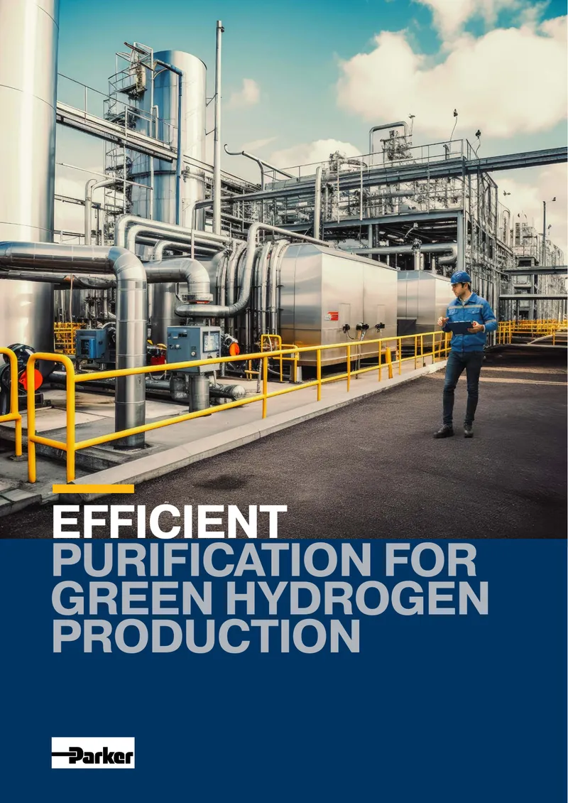 Efficient Purification for Green Hydrogen Production