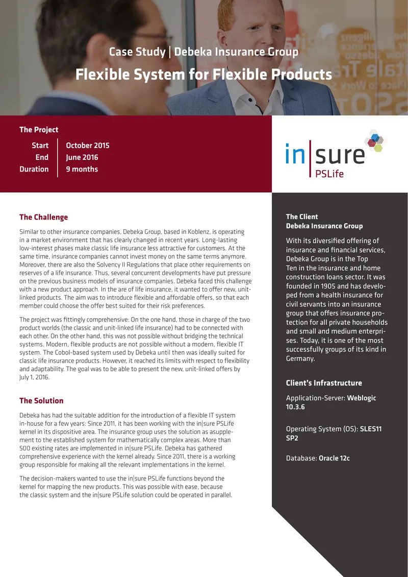 Debeka Insurance Group IT System Implementation Case Study