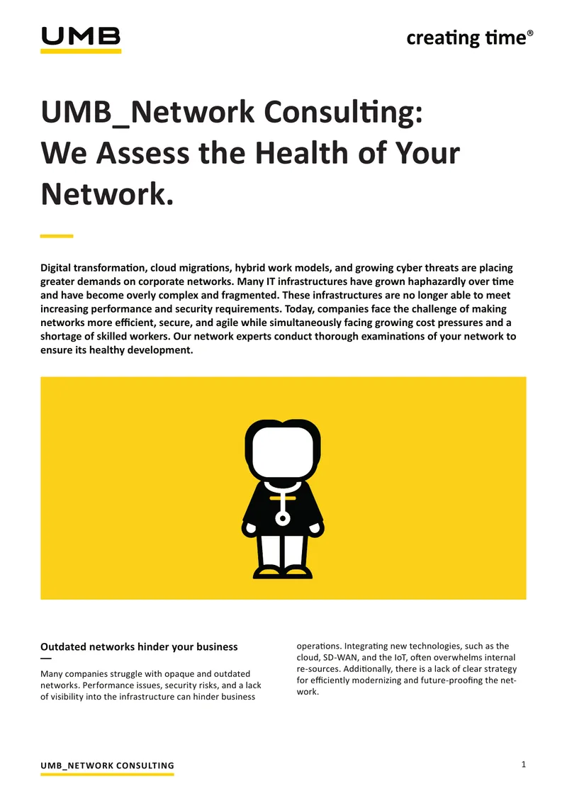 Network Health Assessment and Consulting Services