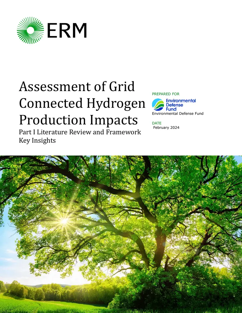 Assessment of Grid Connected Hydrogen Production Impacts