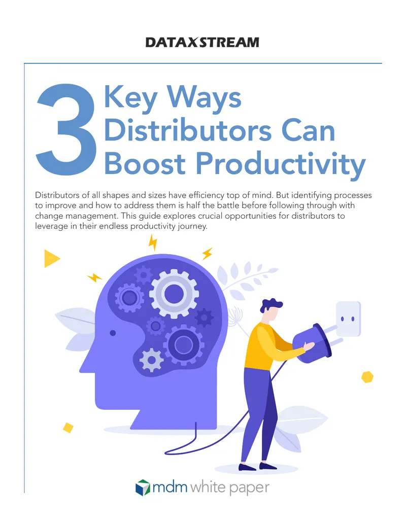 Key Strategies for Distributors to Enhance Productivity