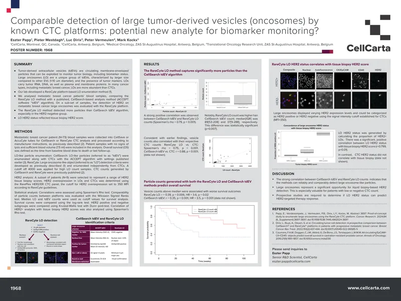 Detection of Large Tumor-Derived Vesicles in Cancer