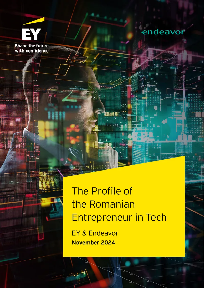 Profile of the Romanian Entrepreneur in Technology