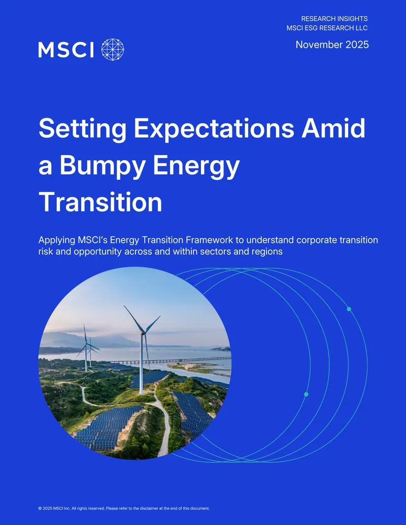 Understanding Corporate Transition Risk in Energy Sector