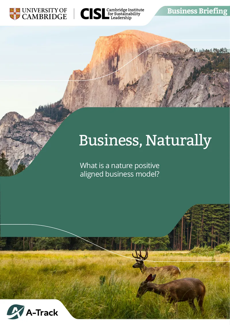 Nature Positive Aligned Business Model Framework
