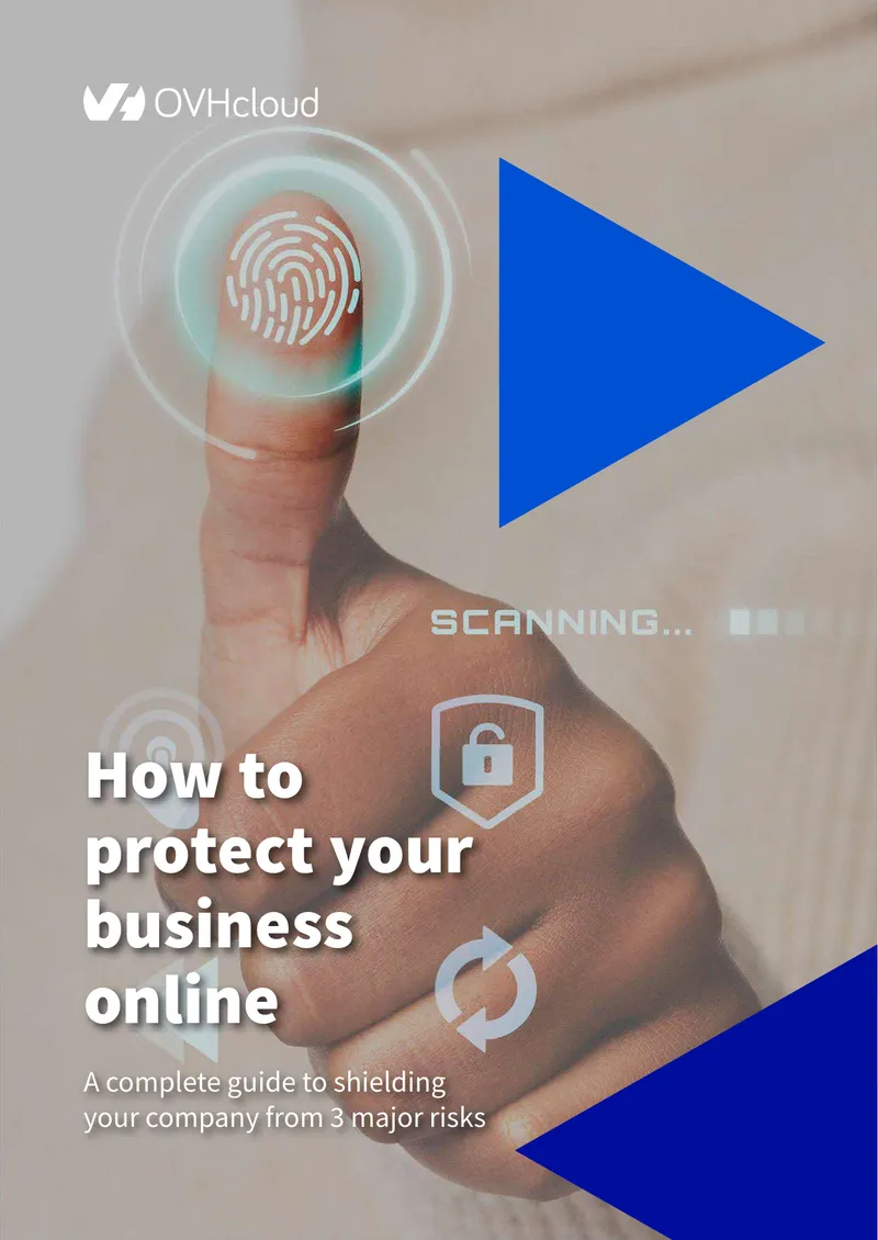 Guide to Protecting Your Business Online