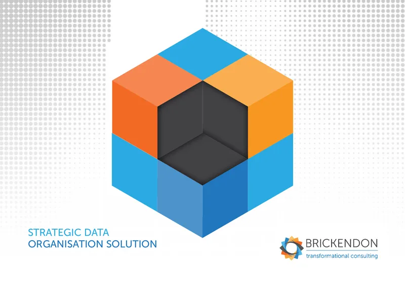 Strategic Data Organisation Framework