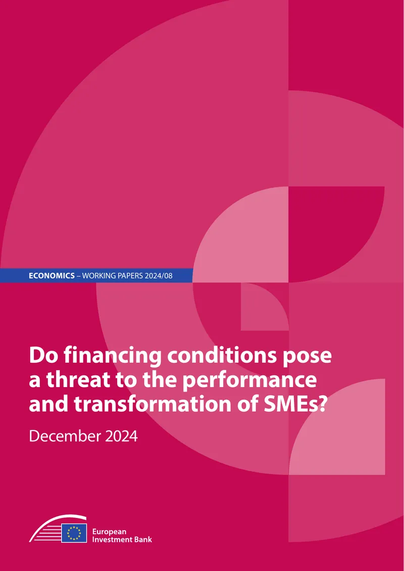 Impact of Financing Conditions on SMEs Performance