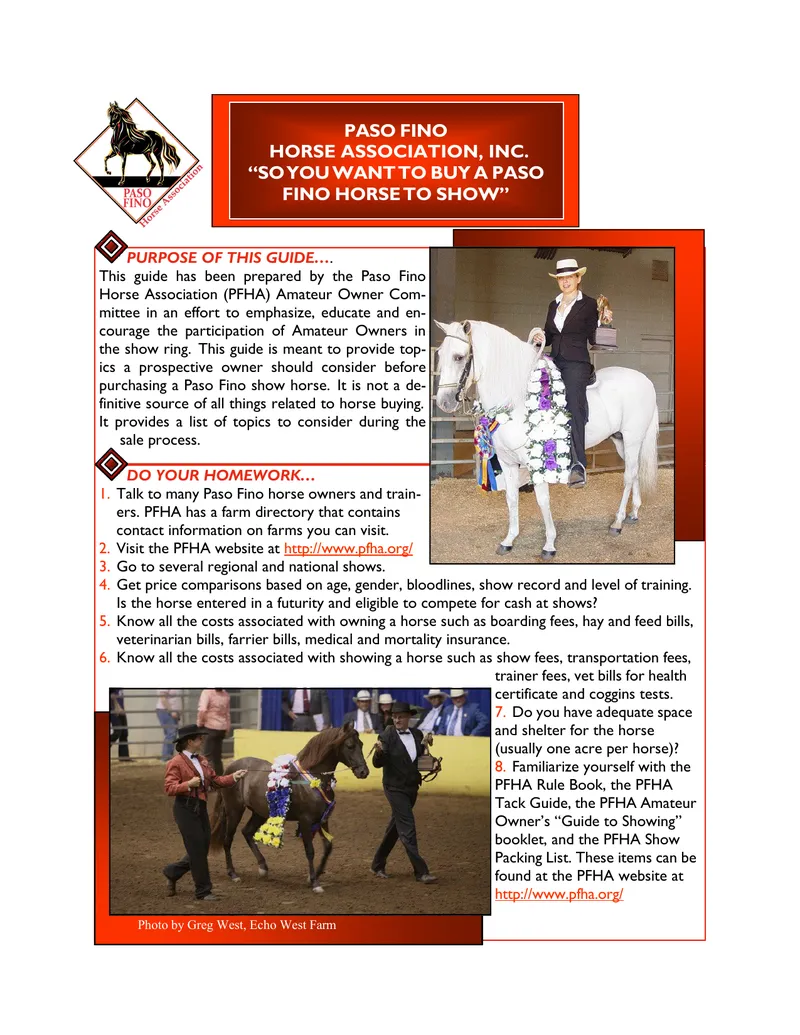 Guide to Buying a Paso Fino Horse for Showing