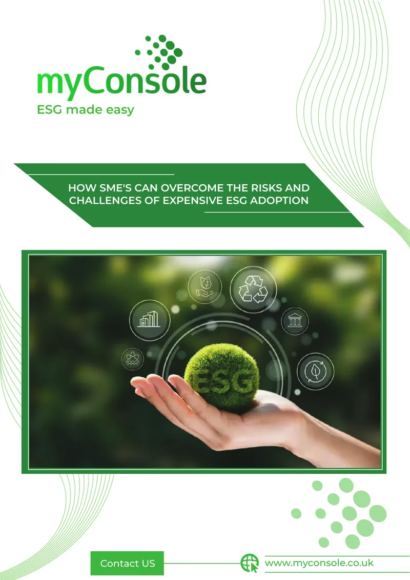 Strategies for SMEs to Manage ESG Adoption Challenges