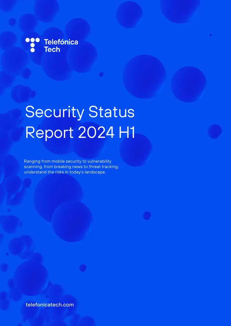 Security Status Report for First Half of 2024