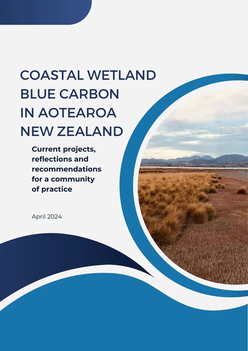 Coastal Wetland Blue Carbon in Aotearoa New Zealand preview page 1