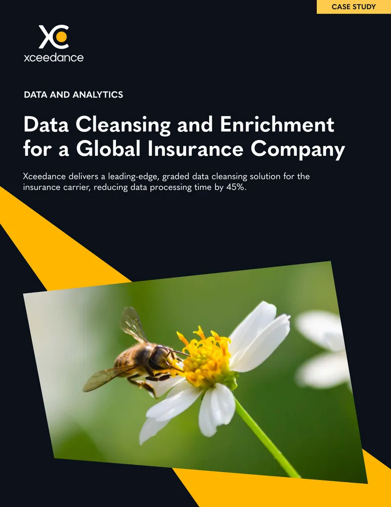 Data Cleansing and Enrichment Case Study