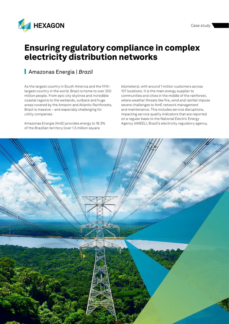 Ensuring Regulatory Compliance in Electricity Distribution Networks