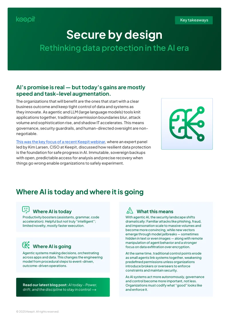 Data Protection Strategies for AI Integration