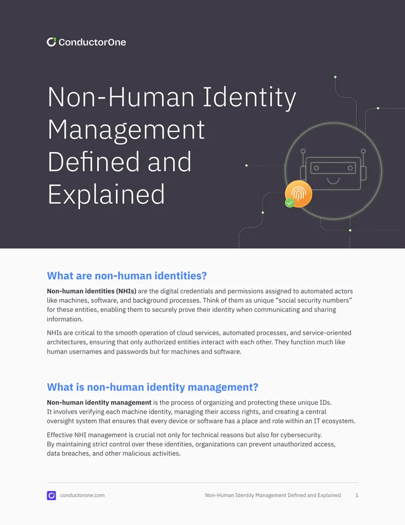 Non-Human Identity Management Overview