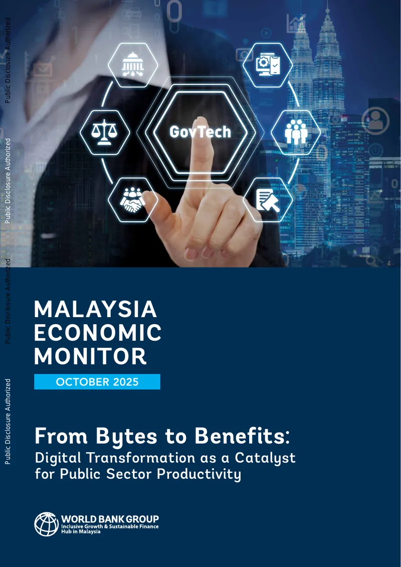 Digital Transformation as a Catalyst for Public Sector Productivity