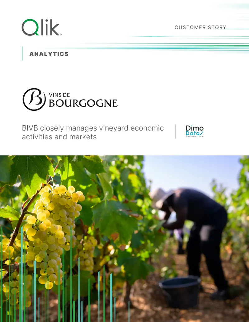 BIVB Analytics Implementation Case Study