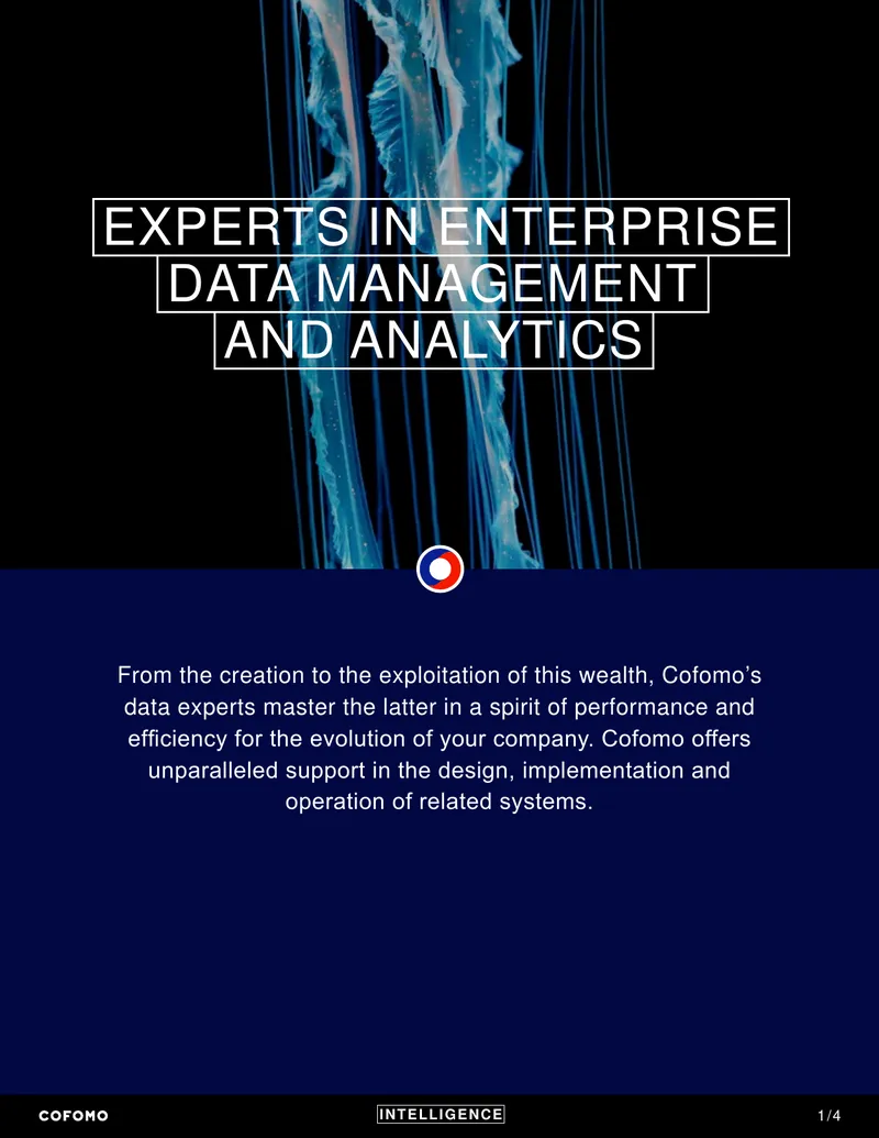 Enterprise Data Management and Analytics Services